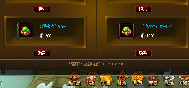 飞升经验丹.png