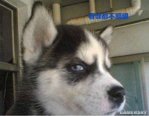 当你感觉到低落了请看这个
